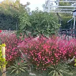 בית נופש Haus Oliveto פרוי