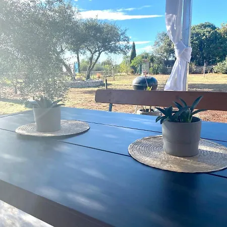 Haus Oliveto Holiday home *
