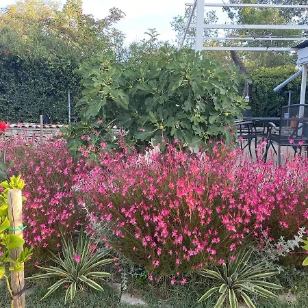 Nyaraló Haus Oliveto Peroj