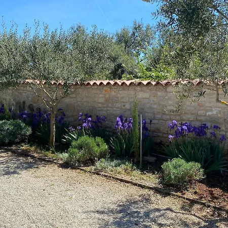 度假居 Haus Oliveto *