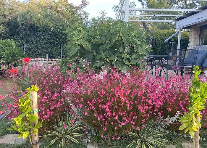 Prázdninový dům Haus Oliveto Peroj